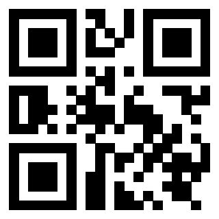 Il Qr Code di 3919829361