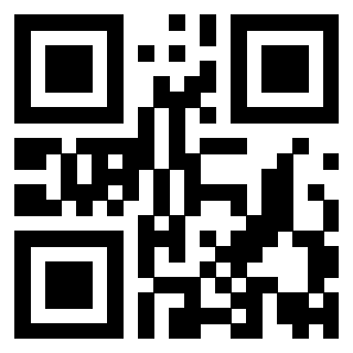 Il Qr Code di 3919829409