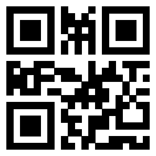Il Qr Code di 3919829463