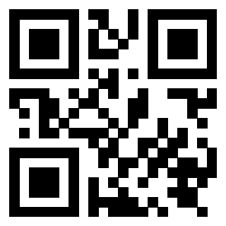 Il Qr Code di 3919829469