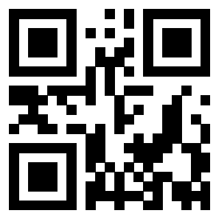Il Qr Code di 3919829473