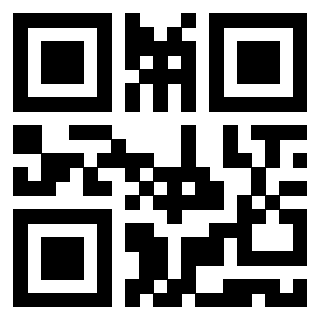 Il Qr Code di 3919829511