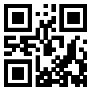 Il Qr Code di 3919829521