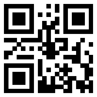 Il Qr Code di 3919841599
