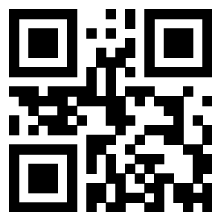 Il Qr Code di 3919841645