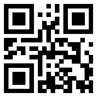 Il Qr Code di 3919841665