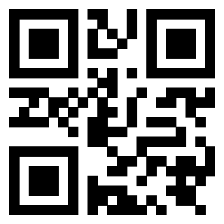 Il Qr Code di 3919841689