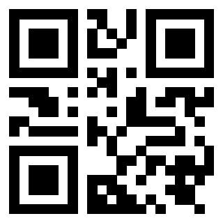 Il Qr Code di 3919841711