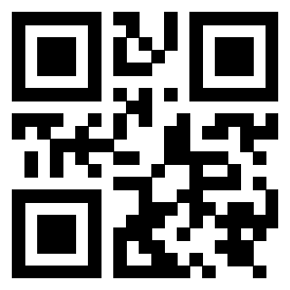 Il Qr Code di 3919841725