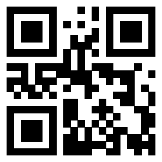 Il Qr Code di 3919841782