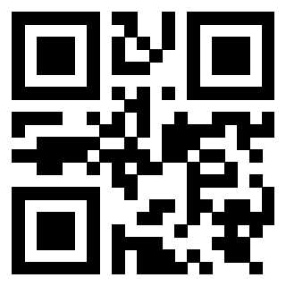 QrCode di 3919841817