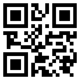 Il Qr Code di 3919841886
