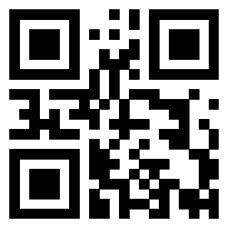 Il Qr Code di 3919841895