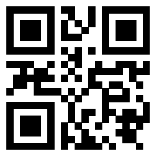 Il Qr Code di 3919841897