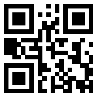 QrCode di 3919841906