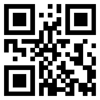 Il Qr Code di 3919841927
