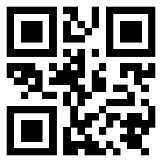 Il Qr Code di 3919841931