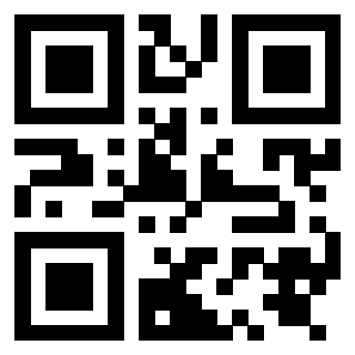 Il Qr Code di 3919841973