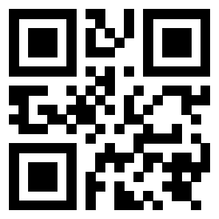Il Qr Code di 3919842019