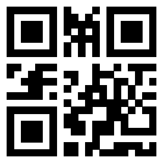 Il Qr Code di 3919842035