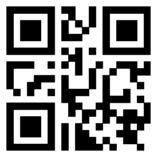 Il Qr Code di 3919842075