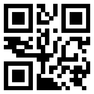 Il Qr Code di 3919842079