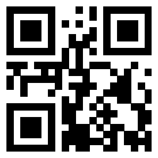 Il Qr Code di 3919842151