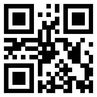 Il Qr Code di 3919842291