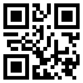 Il Qr Code di 3919842305