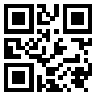 Il Qr Code di 3919842310