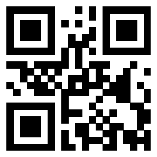 Il Qr Code di 3919842314