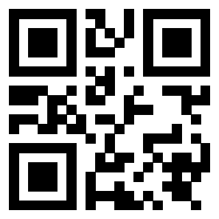 QrCode di 3919842336