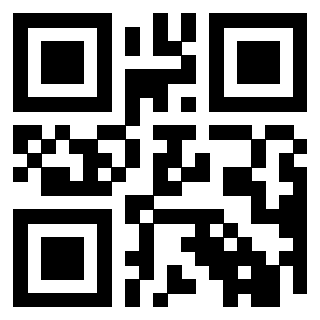 Il Qr Code di 3919842416