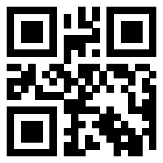 Il Qr Code di 3919847655