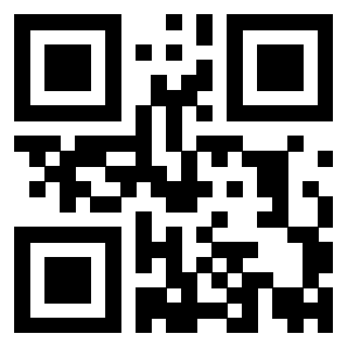 Il Qr Code di 3919847695