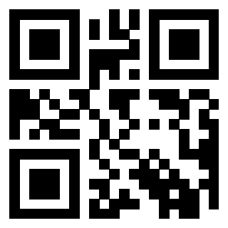 Il Qr Code di 3919847704