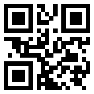Il Qr Code di 3919847751
