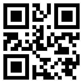 Il Qr Code di 3919847752