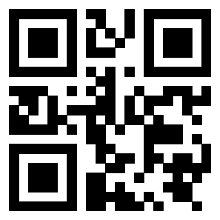 Il Qr Code di 3919847767
