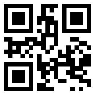 QrCode di 3919847777