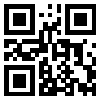 Il Qr Code di 3919847791
