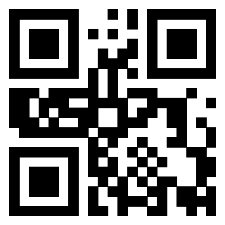 Il Qr Code di 3919847810