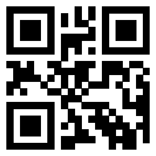 Il Qr Code di 3919847816