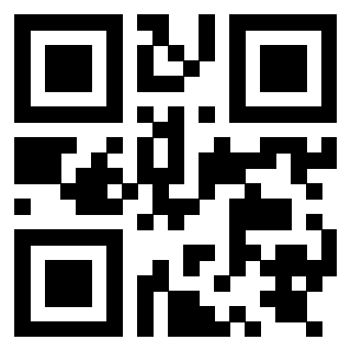 Il Qr Code di 3919847837