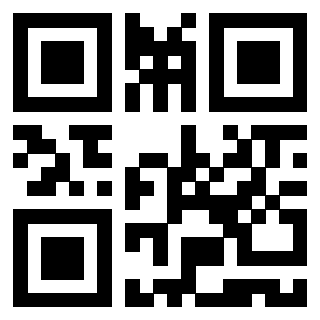 Il Qr Code di 3919847854