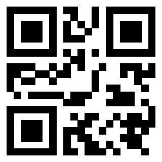 Il Qr Code di 3919847912