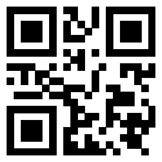 Il Qr Code di 3919847917