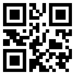 Il Qr Code di 3919847921