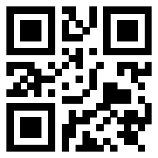QrCode di 3919847924