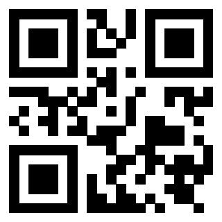 Il Qr Code di 3919847925